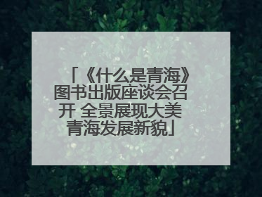 《什么是青海》图书出版座谈会召开 全景展现大美青海发展新貌