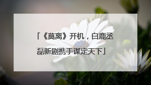 《莫离》开机，白鹿丞磊新剧携手谋定天下