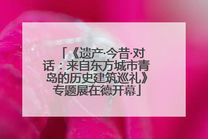 《遗产·今昔·对话：来自东方城市青岛的历史建筑巡礼》专题展在德开幕