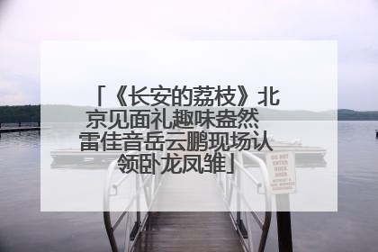 《长安的荔枝》北京见面礼趣味盎然 雷佳音岳云鹏现场认领卧龙凤雏