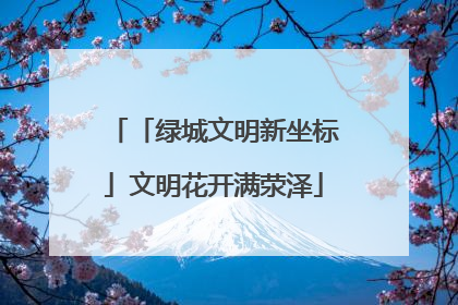 「绿城文明新坐标」文明花开满荥泽