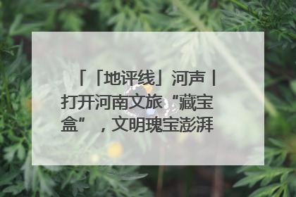 「地评线」河声丨打开河南文旅“藏宝盒”，文明瑰宝澎湃发展“豫动能”