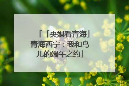 「央媒看青海」青海西宁：我和鸟儿的端午之约