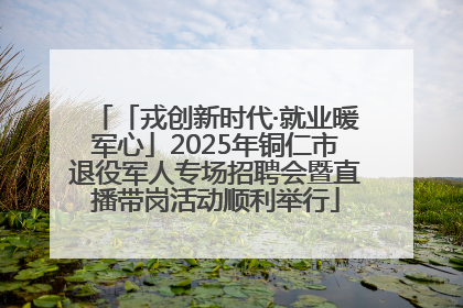「戎创新时代·就业暖军心」2025年铜仁市退役军人专场招聘会暨直播带岗活动顺利举行