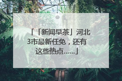 「新闻早茶」河北3市最新任免，还有这些热点……