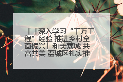 「深入学习“千万工程”经验 推进乡村全面振兴」和美荔城 共富共美 荔城区扎实推进乡村振兴工作