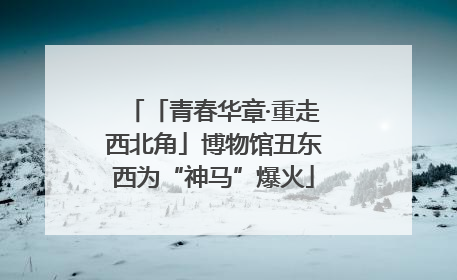 「青春华章·重走西北角」博物馆丑东西为“神马”爆火