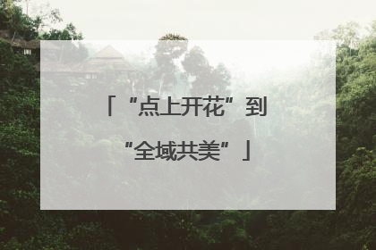“点上开花”到“全域共美”