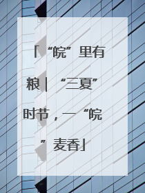 “皖”里有粮｜“三夏”时节，一“皖”麦香