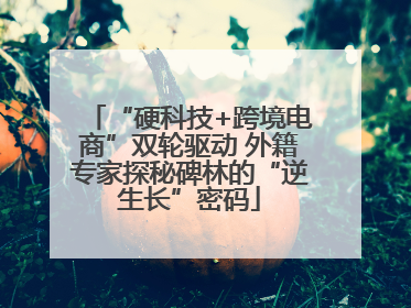 “硬科技+跨境电商”双轮驱动 外籍专家探秘碑林的“逆生长”密码