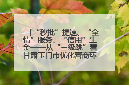 “秒批”提速、“全情”服务、“信用”生金——从“三级跳”看甘肃玉门市优化营商环境的进阶之路