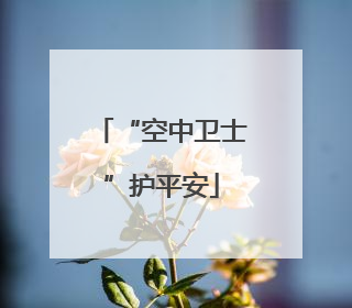 “空中卫士”护平安
