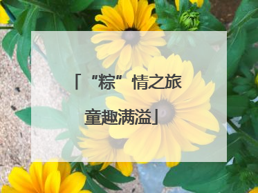 “粽”情之旅 童趣满溢