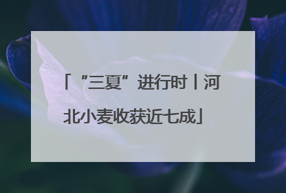 “三夏”进行时丨河北小麦收获近七成