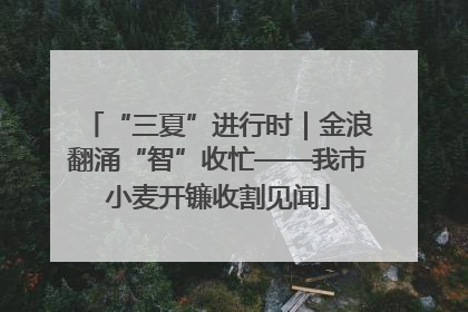 “三夏”进行时｜金浪翻涌“智”收忙——我市小麦开镰收割见闻