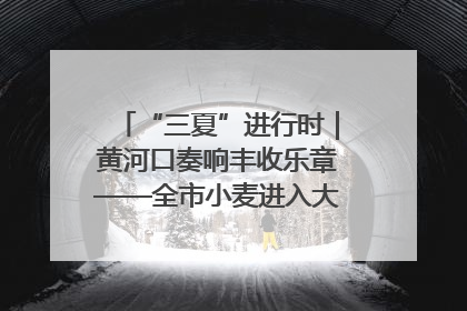 “三夏”进行时｜黄河口奏响丰收乐章——全市小麦进入大面积收获高峰期