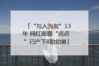 “与人为友”13年 网红麋鹿“点点”已产下8胎幼崽