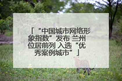 “中国城市网络形象指数”发布 兰州位居前列 入选“优秀案例城市”