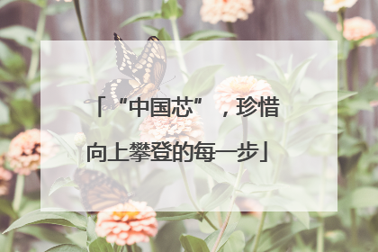 “中国芯”，珍惜向上攀登的每一步