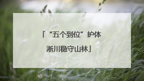 “五个到位”护体 淅川稳守山林