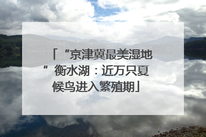 “京津冀最美湿地”衡水湖：近万只夏候鸟进入繁殖期