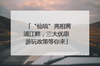 “仙境”亮相黄浦江畔，三大优惠游玩政策等你来