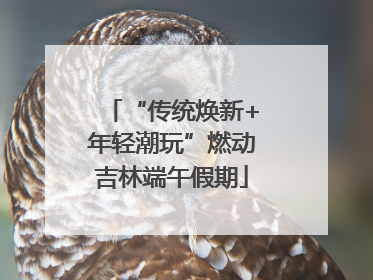 “传统焕新+年轻潮玩”燃动吉林端午假期