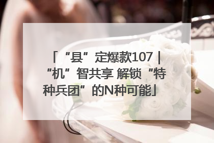 “县”定爆款107｜“机”智共享 解锁“特种兵团”的N种可能