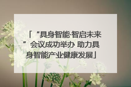 “具身智能·智启未来”会议成功举办 助力具身智能产业健康发展