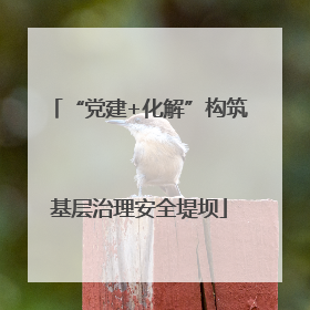 “党建+化解”构筑基层治理安全堤坝