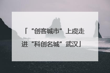 “创客城市”上虞走进“科创名城”武汉