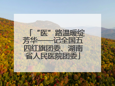 “医”路温暖绽芳华——记全国五四红旗团委、湖南省人民医院团委