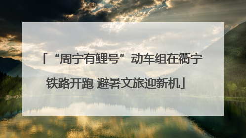“周宁有鲤号”动车组在衢宁铁路开跑 避暑文旅迎新机