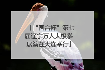 “国合杯”第七届辽宁万人太极拳展演在大连举行