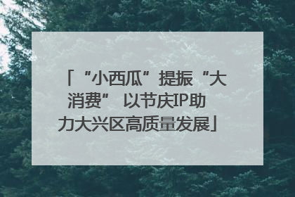 “小西瓜”提振“大消费” 以节庆IP助力大兴区高质量发展