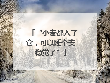 “小麦都入了仓，可以睡个安稳觉了”