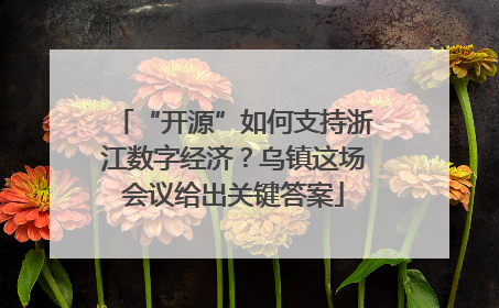 “开源”如何支持浙江数字经济？乌镇这场会议给出关键答案
