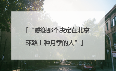 “感谢那个决定在北京环路上种月季的人”