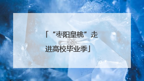 “枣阳皇桃”走进高校毕业季