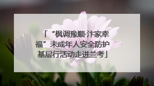 “枫调豫顺·汴家幸福”未成年人安全防护基层行活动走进兰考
