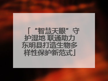 “智慧天眼”守护湿地 联通助力东明县打造生物多样性保护新范式