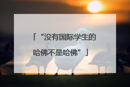 “没有国际学生的哈佛不是哈佛”