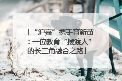 “沪嘉”携手育新苗：一位教育“摆渡人”的长三角融合之路
