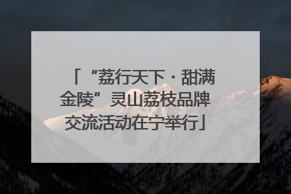 “荔行天下・甜满金陵”灵山荔枝品牌交流活动在宁举行