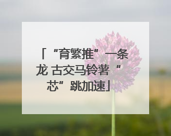 “育繁推”一条龙 古交马铃薯“芯”跳加速