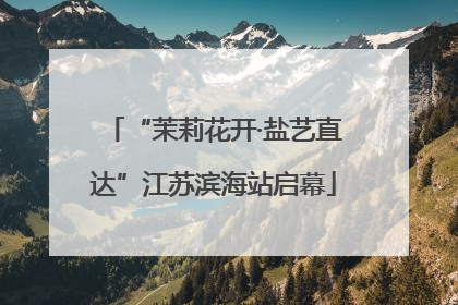 “茉莉花开·盐艺直达”江苏滨海站启幕