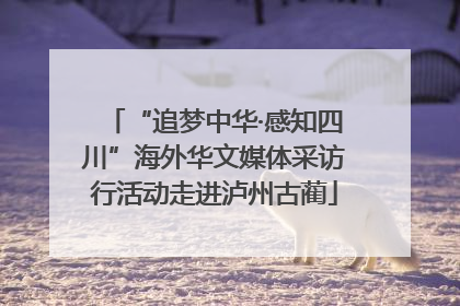 “追梦中华·感知四川”海外华文媒体采访行活动走进泸州古蔺