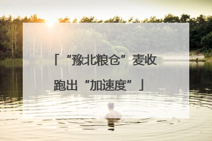 “豫北粮仓”麦收跑出“加速度”
