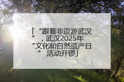“跟着非遗游武汉”，武汉2025年“文化和自然遗产日” 活动开锣