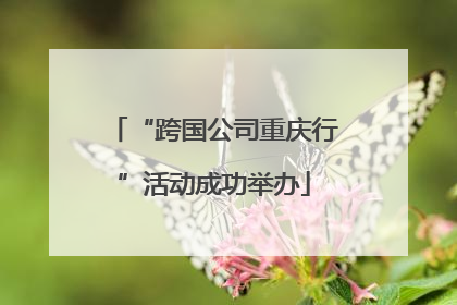 “跨国公司重庆行”活动成功举办
